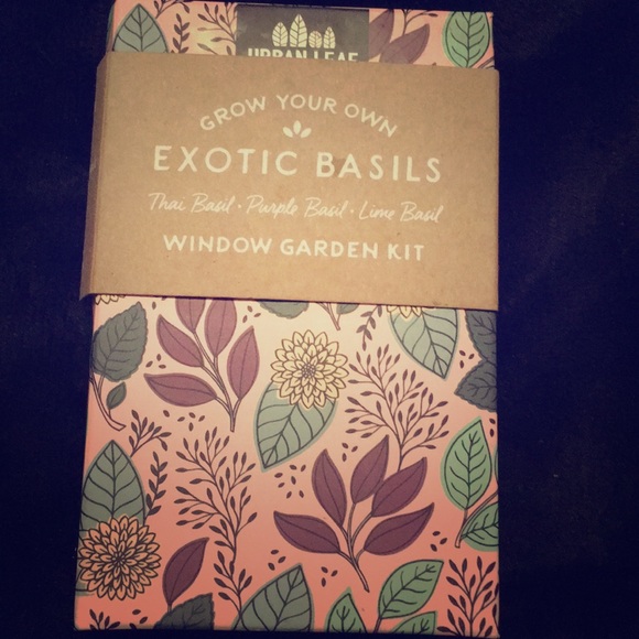 Urban Leaf Grow Your Own/Exotic Basils Kit - Picture 1 of 2